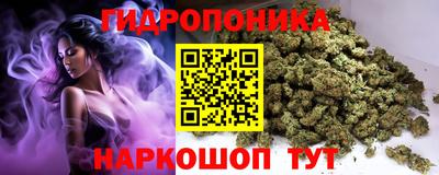 соль ск Моздок