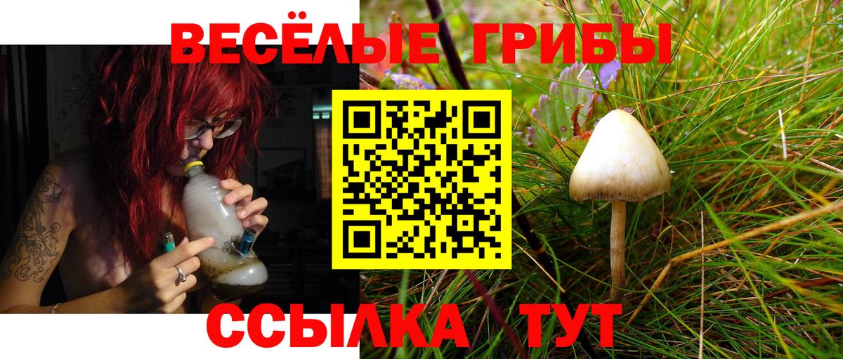 Якутск  Галлюциногенные грибы мухоморы  Галлюциногенные грибы мицелий  Вход с VPN 