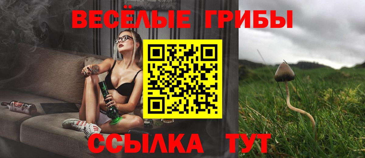 Псилоцибиновые грибы Cubensis Якутск